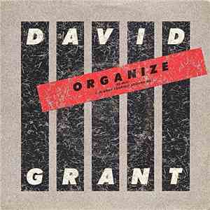 David Grant - Organize / Wrap Yourself Around Me mp3 album