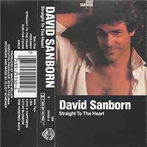 David Sanborn - Straight To The Heart mp3 album