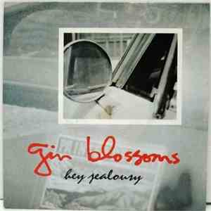 Gin Blossoms - Hey Jealousy mp3 album