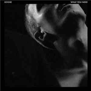 Goose  - What You Need (Remixes) mp3 album