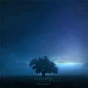Haarp  - Husks mp3 album