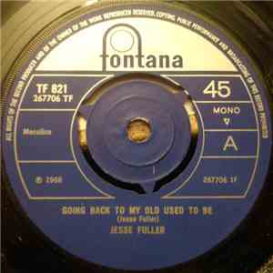 Jesse Fuller - Going Back To My Old Used To Be mp3 album