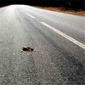 OCP  - Rejects mp3 album