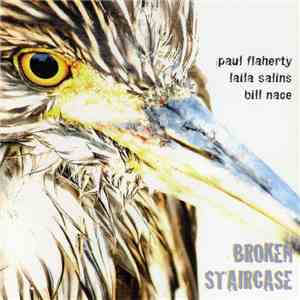 Paul Flaherty / Laila Salins / Bill Nace - Broken Staircase mp3 album