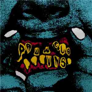 Pauwels, Uns - U.P. mp3 album