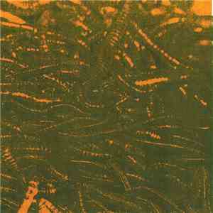 Prinzhorn Dance School, The Brian James Gang - Prinzhorn Dance School And Brian James Split 7" mp3 album