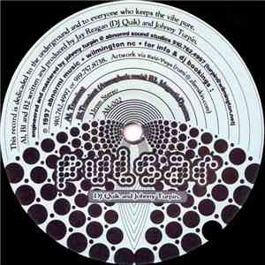 Pulsar  - Transient mp3 album