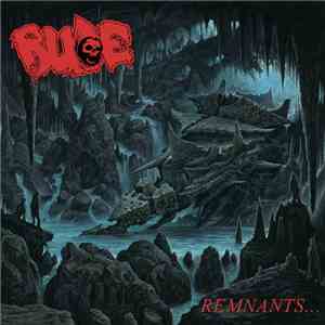 Rude  - Remnants... mp3 album