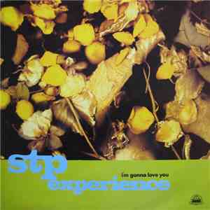 STP Experience - I'm Gonna Love You mp3 album