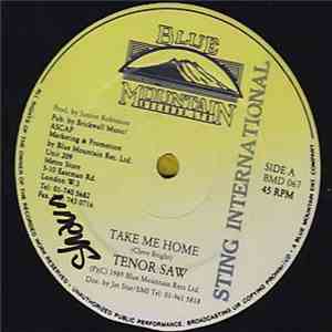 Tenor Saw - Take Me Home mp3 album