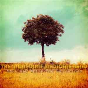 The Incredible Medicine Band - Make Hay While The Sun Shines mp3 album