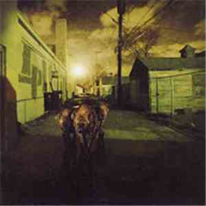 The Platoon - Like Hyenas In The Desert mp3 album