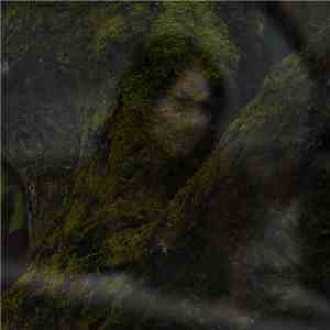 TREEREFLECTION - Overcast mp3 album