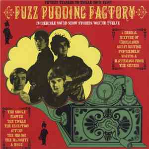 Various - Incredible Sound Show Stories Volume Twelve (Fuzz Pudding Factory) mp3 album