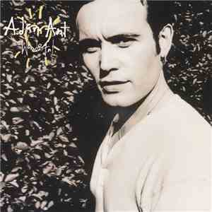 Adam Ant - Wonderful mp3 album