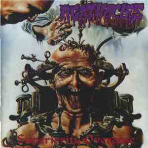 Agathocles - Superiority Overdose mp3 album