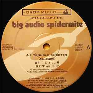 Big Audio Spidermite - Trouble Shooter mp3 album