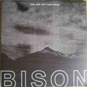 Bison - You Are Not The Ocean You Are The Patient mp3 album