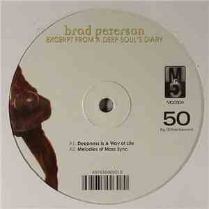 Brad Peterson - Excerpt From A Deep Soul's Diary mp3 album