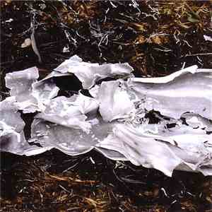 Cremaster - Igneo mp3 album