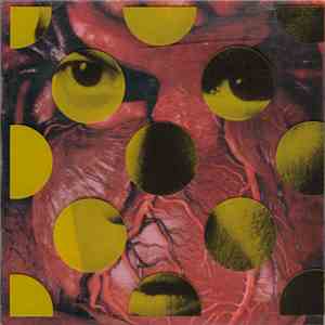 David Byrne - Rei Momo mp3 album