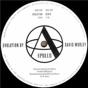 David Morley - Evolution mp3 album