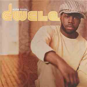 Dwele - Some Kinda... mp3 album