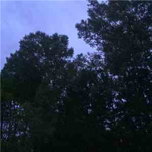 Louis Rain - 4​:​36 AM mp3 album
