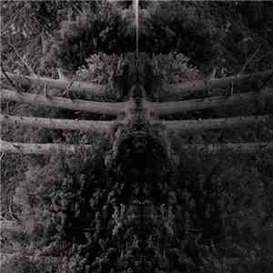 Membrane - Reflect Your Pain mp3 album