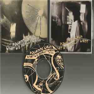 Rosanne Cash - What We Really Want mp3 album