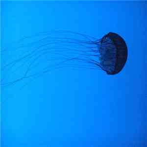 Stroan - Confluence mp3 album