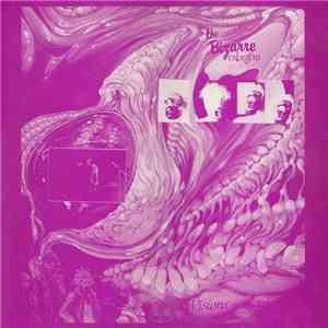 The Bizarre Orkeztra - Visions On The Wall mp3 album