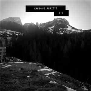 Various - 017 mp3 album