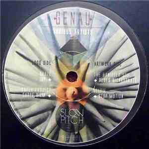 Various - Genau mp3 album