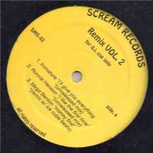 Various - Remix Vol. 2 mp3 album