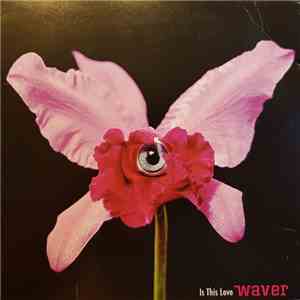 Waver  - Is This Love mp3 album