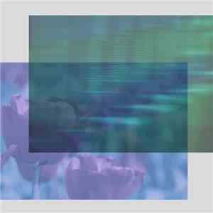 April Clocks - Deaf Youth mp3 album