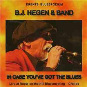 B. J. Hegen - In Case You've Got The Blues mp3 album