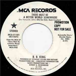 B.B. King - There Must Be A Better World Somewhere mp3 album