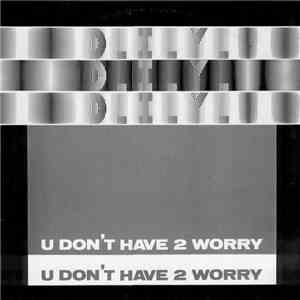 D.I.Y.  - U Don't Have 2 Worry mp3 album