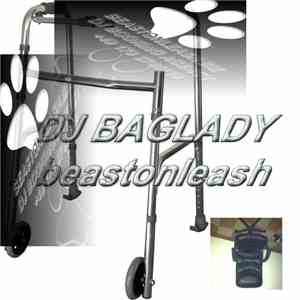 DJ Baglady - Beastonleash mp3 album