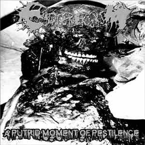Eviscerorgasm - A Putrid Moment Of Pestilence mp3 album