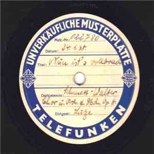 Karl Schmitt-Walter, Walter Lutze, Orchester Des Deutschen Opernhauses Berlin - Nun Ist's Vollbracht (Aus: Undine) / Valentin's Gebet (Aus: Margarethe) mp3 album