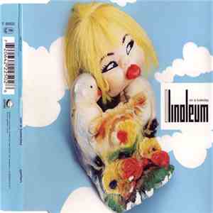 Linoleum - On A Tuesday mp3 album