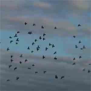 nothing,nowhere. - Don't Mind Me mp3 album