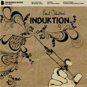 Paul Schulleri - Induktion mp3 album