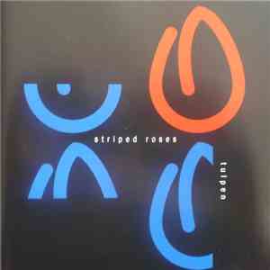 Striped Roses - Tulpen mp3 album