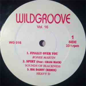 Various - Wildgroove Vol. 16 mp3 album