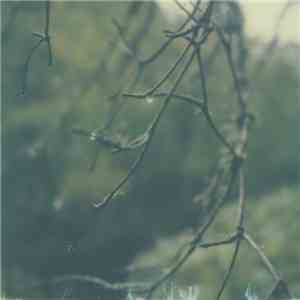 Benoit Pioulard - Lignin Poise mp3 album