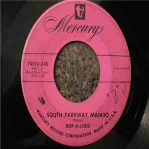 Bop-A-Loos - South Parkway Mambo / Teach Me Tonight mp3 album